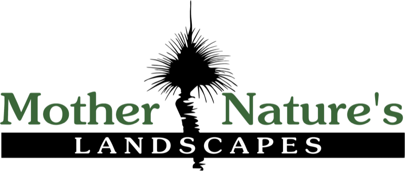 Mother Nature's Landscapes
